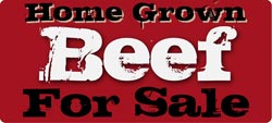 Home Grown Beef for Sale
