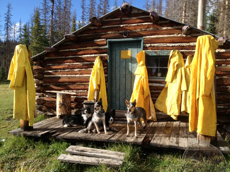 Cow camp cabin with raincoats