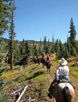 Trail Riding in colorado